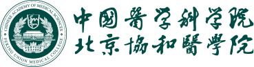 2026世界杯足球官网
